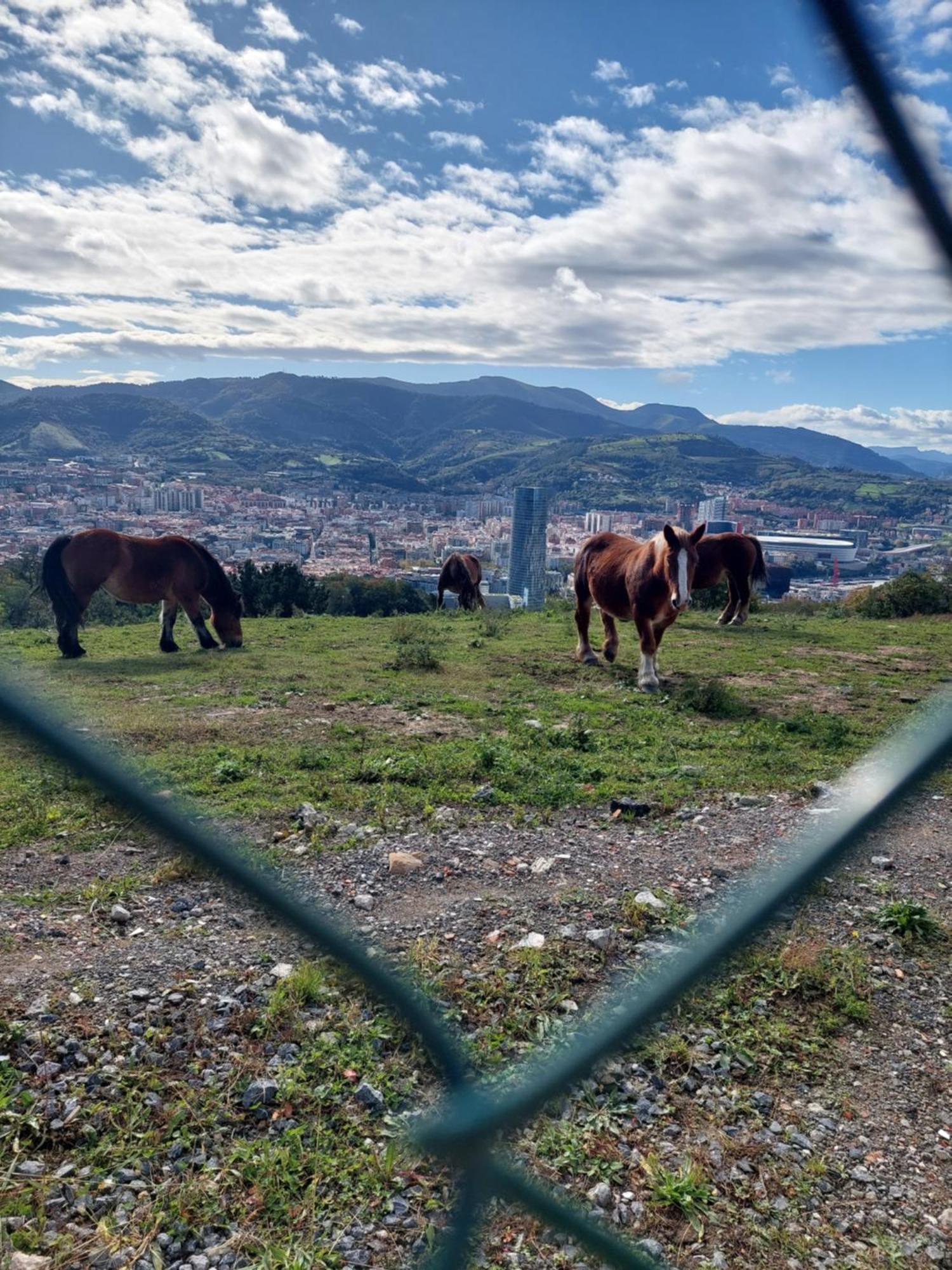 Bilbao Center Apt 90'S Parking מראה חיצוני תמונה